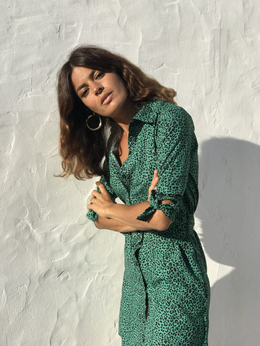 Jonah Mini Shirt Dress in Small Green Leopard